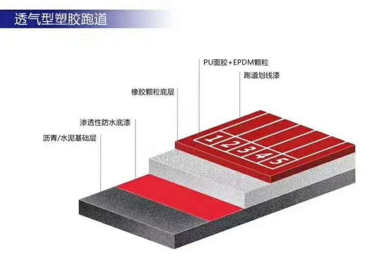 谈球吧体育官方网站图片