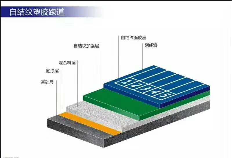 谈球吧体育官方网站图片